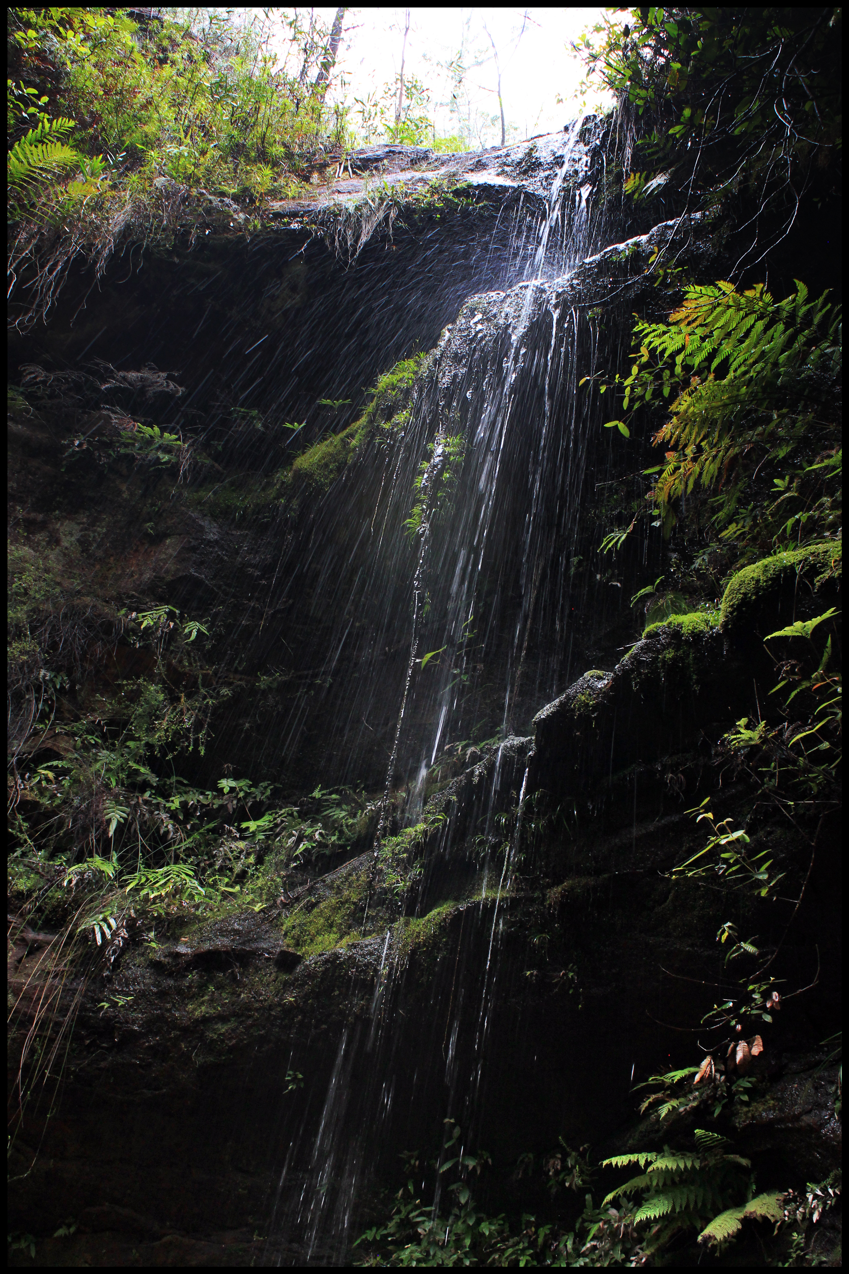 Blackheath, New South Wales Australia