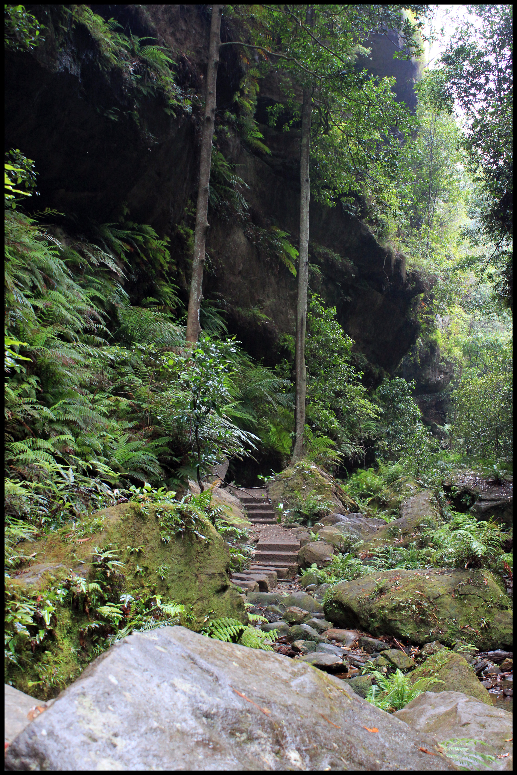 Blackheath, New South Wales Australia