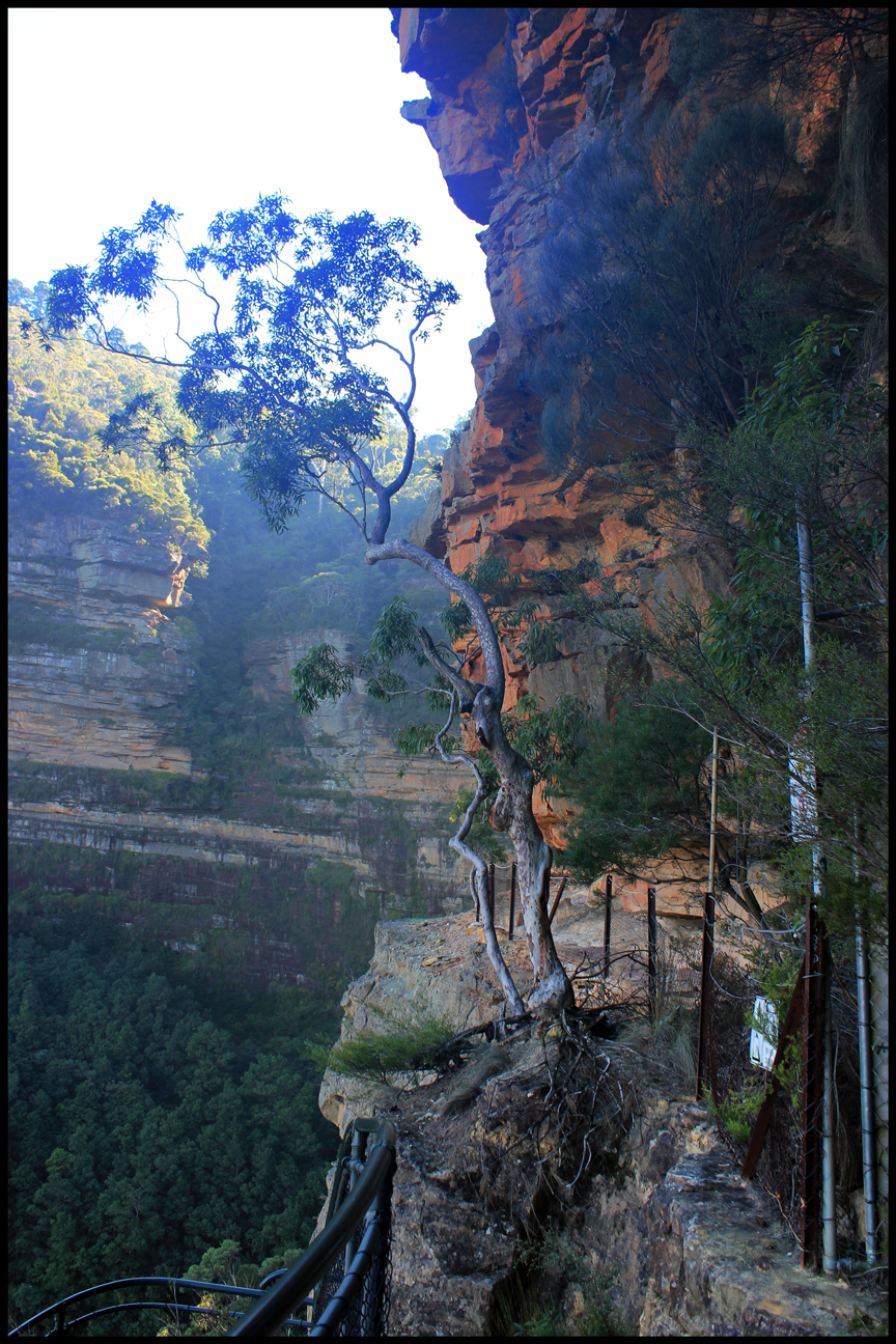 Springwood, New South Wales Australia