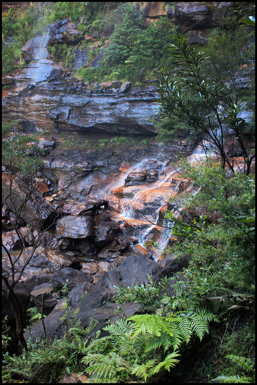 Springwood, New South Wales Australia