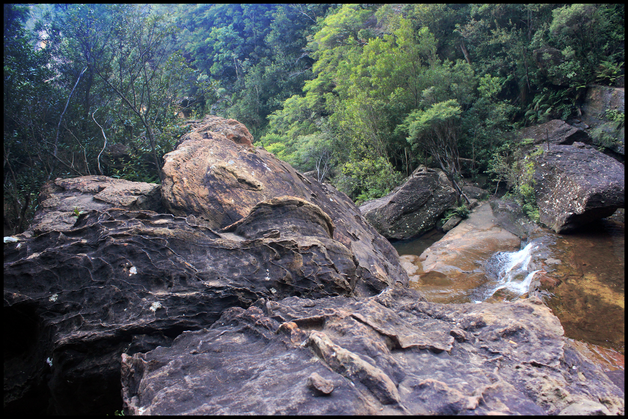 Springwood, New South Wales Australia