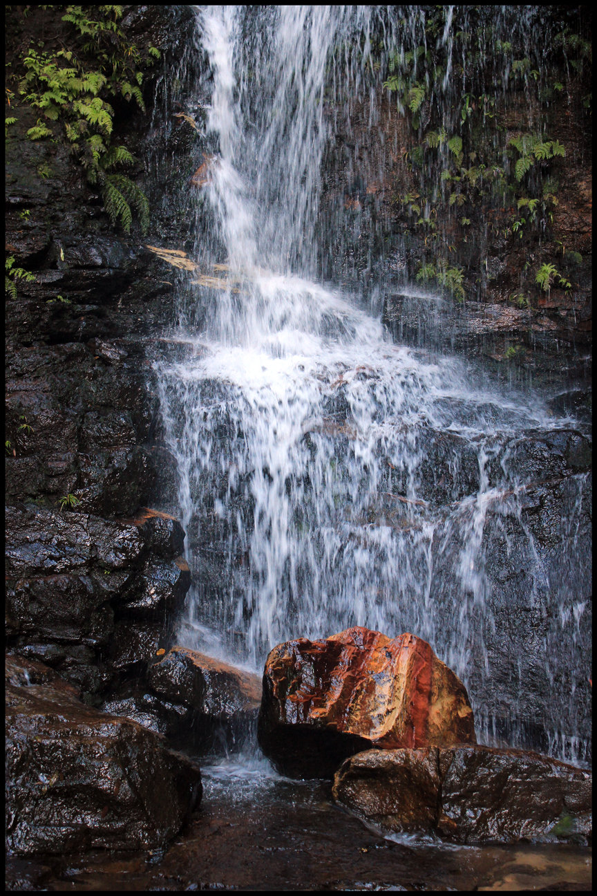 Springwood, New South Wales Australia