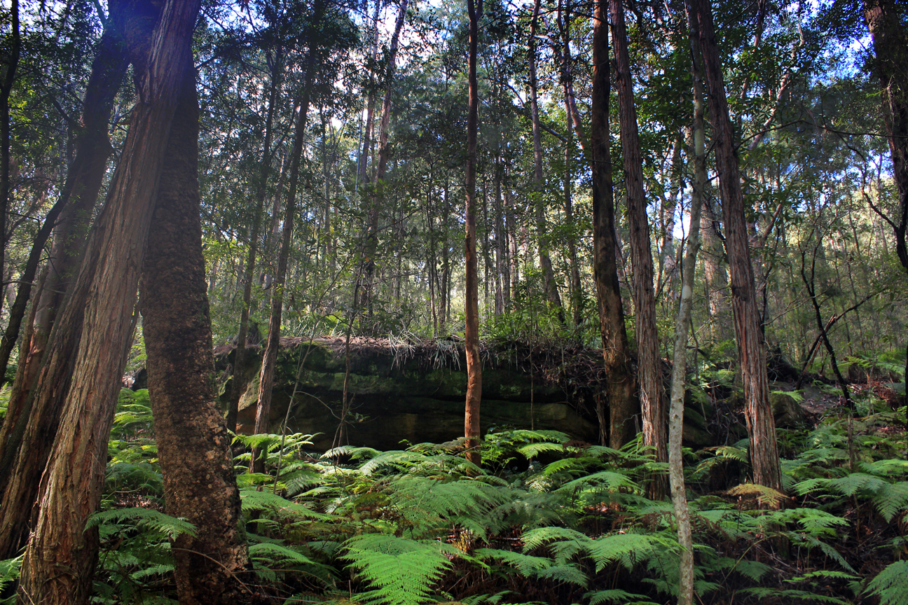 Wentworth Falls, New South Wales Australia