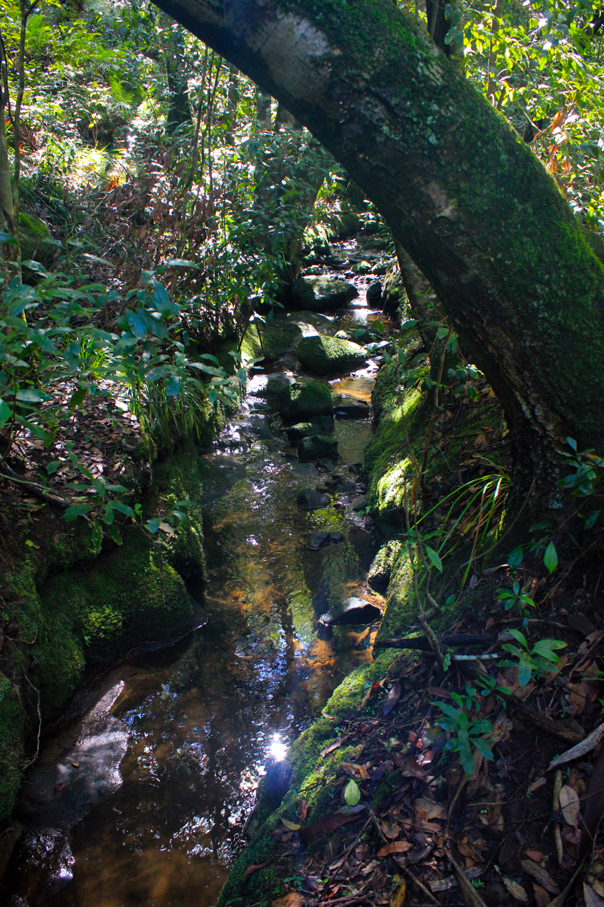 Wentworth Falls, New South Wales Australia